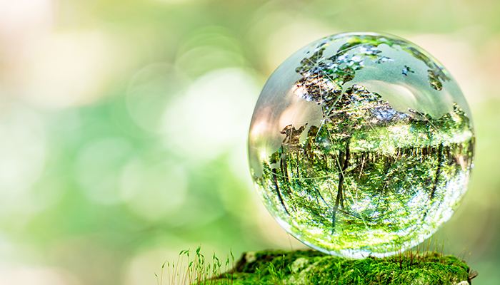 【 メディア記載 】「経道（KEIDO）」に、弊社取材記事が掲載されました。